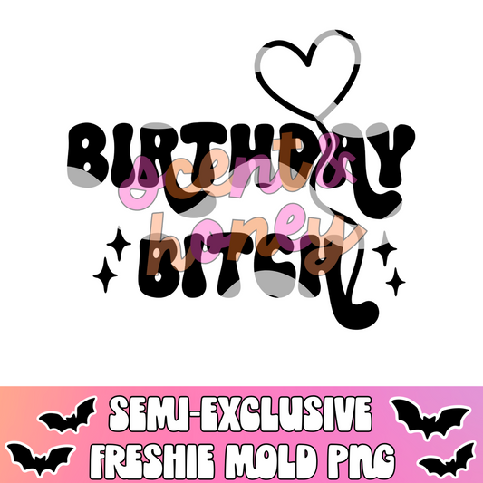 **SEMI-EXCLUSIVE** Birthday Bitch PNG